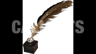 Quill and Pen 3D Prop Education theme