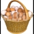 Egg Basket Food theme