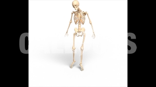 Skeleton Shadow – Health theme