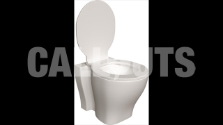 Toilet – Home theme