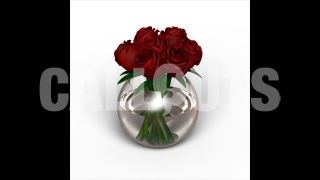 Rose Vase Shadow – Romance theme