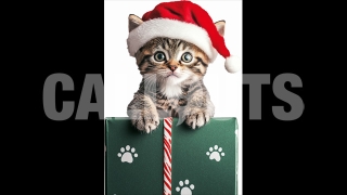 A Kitten in Santa Hat with a Christmas Present – Cutout Graphics