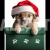 A Cute Puppy Wearing Santa Hat with a Gift – Cutout Graphics